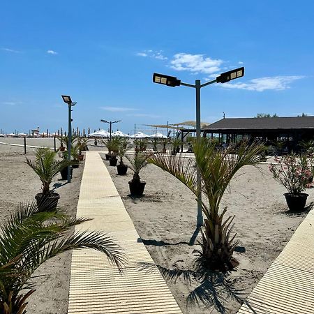 Dis Mamaia Nord Daire Köstence Dış mekan fotoğraf